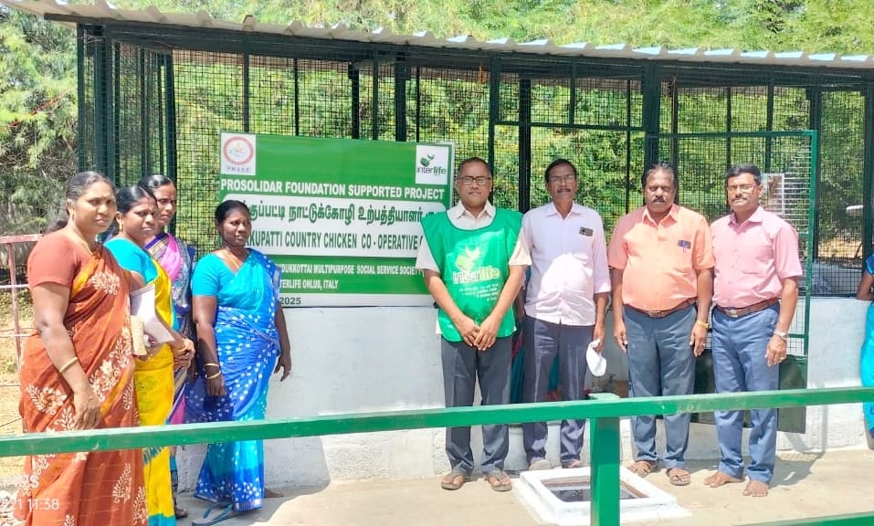 Cooperative-based Country Chicken Farming